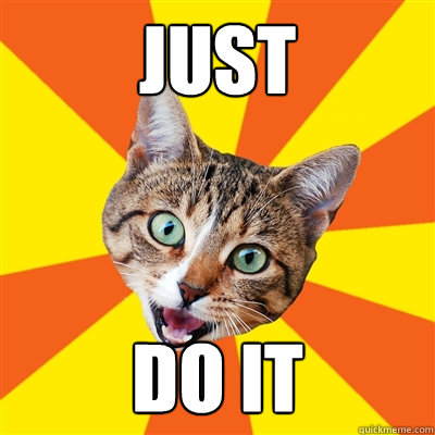 Just do it - meme cat