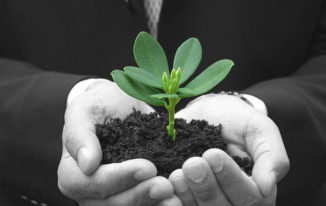 Embracing sustainability for business growth