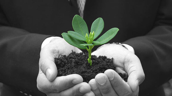 Embracing sustainability for business growth